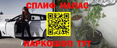 герыч Бийск