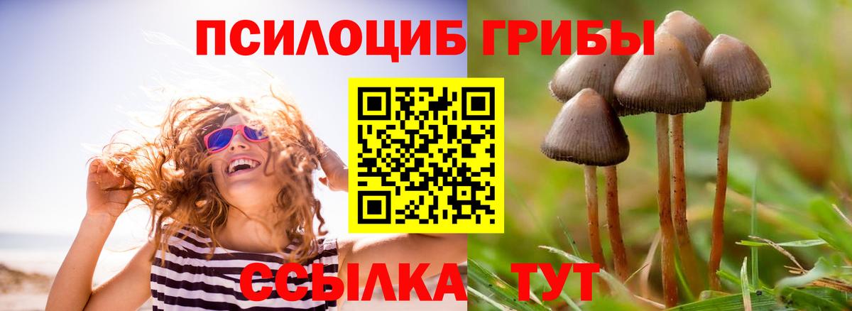 Псилоцибиновые грибы прущие грибы Зеленогорск